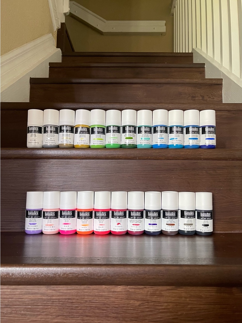 Liquitex Professional Soft Body Acrylics Paint Bundle #4